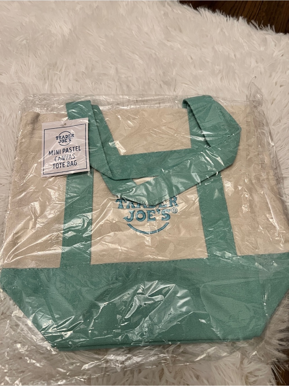 Mini Pastel Canvas Tote Bag - Teal Accent